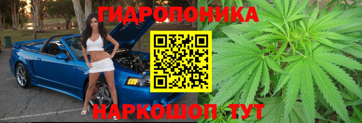 Марихуана конопля  Вход с VPN  Шишки марихуана MAZAR  Марихуана Amnesia  Мурино 